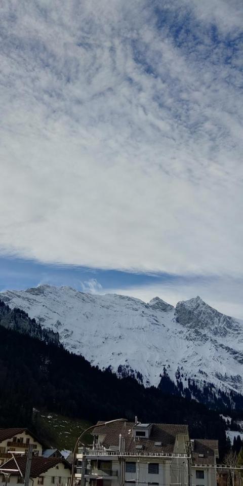 Central Serviced Apartment – Engelberg