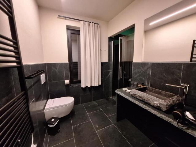 Green Hospitality Monolocale Stella Alpina – billede 3