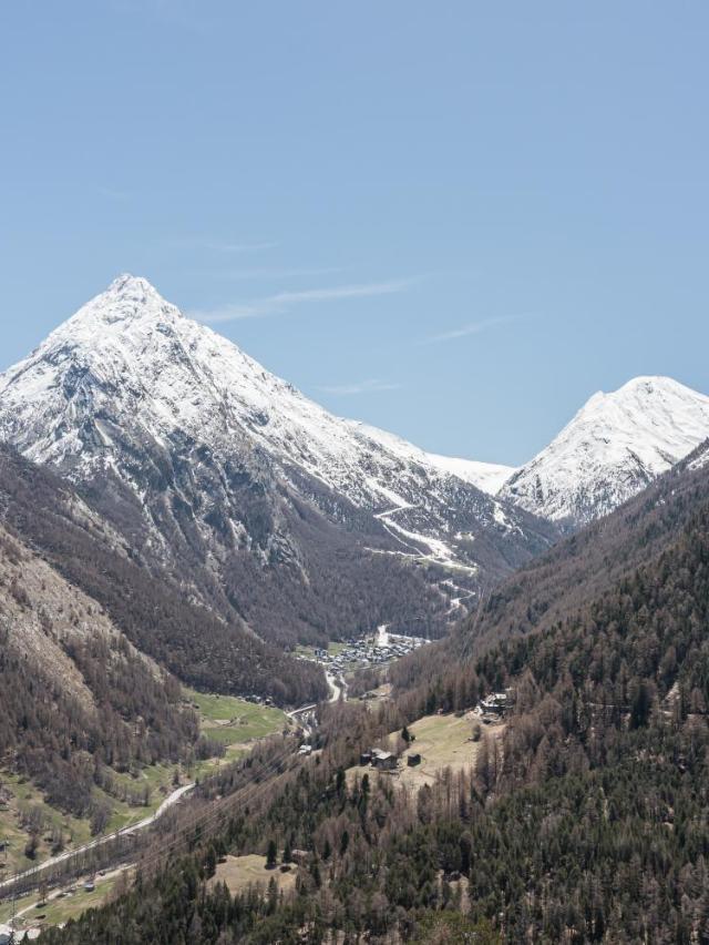 Haus Alfa – billede 6
