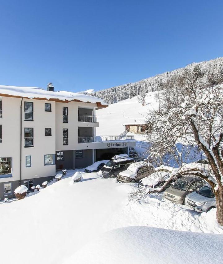Apartment with Garden View (1 single bed and 1 large bed) - Free WiFi – Eberharthof