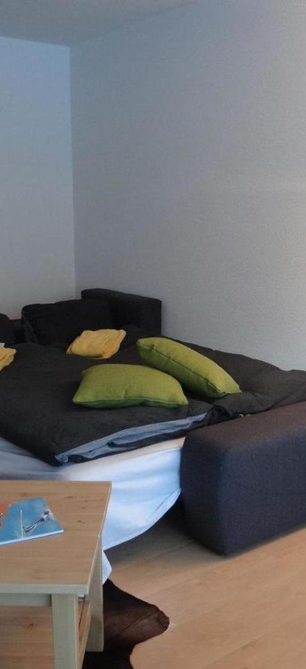 Apartment Neuschwandi 63 by Interhome – billede 4