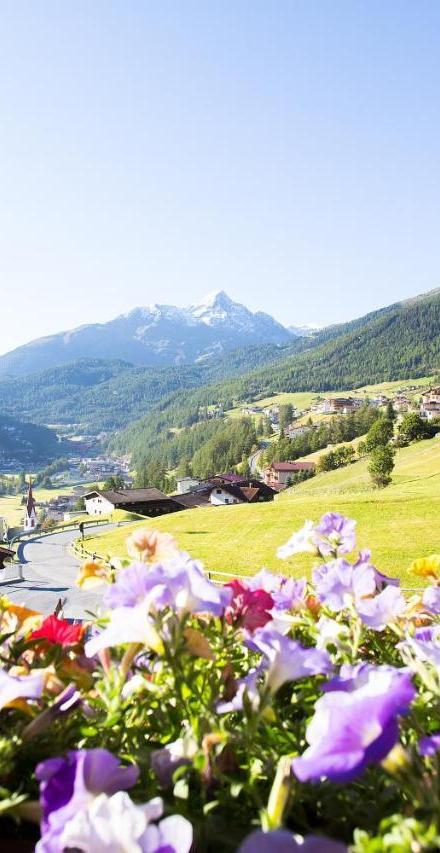 Haus Alois (Adults Only) – billede 3