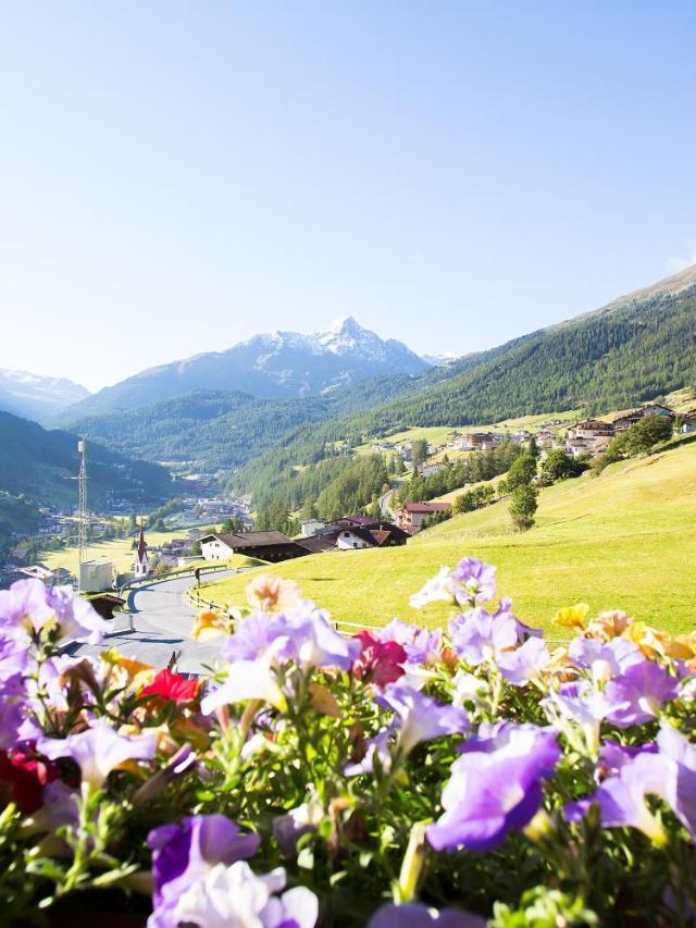 Haus Alois (Adults Only) – billede 3