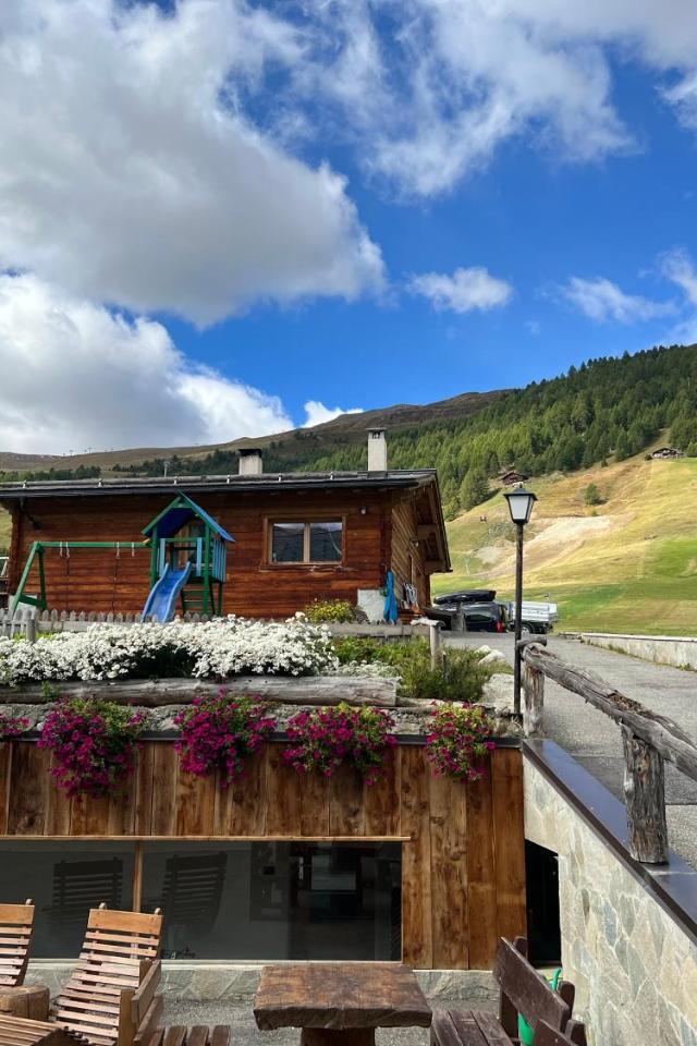 Le Alpi – billede 9