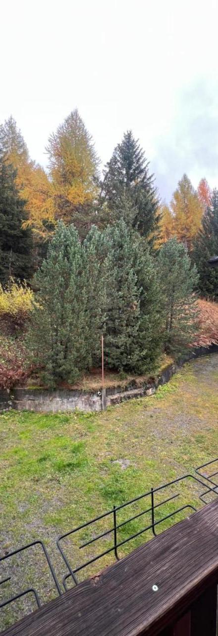 Appartamento Cuor di Bosco – billede 3