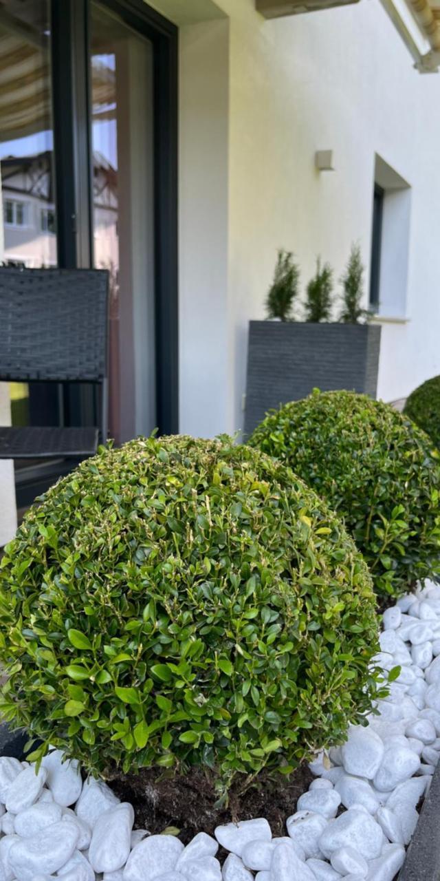 Appartement Schneekristall – billede 6