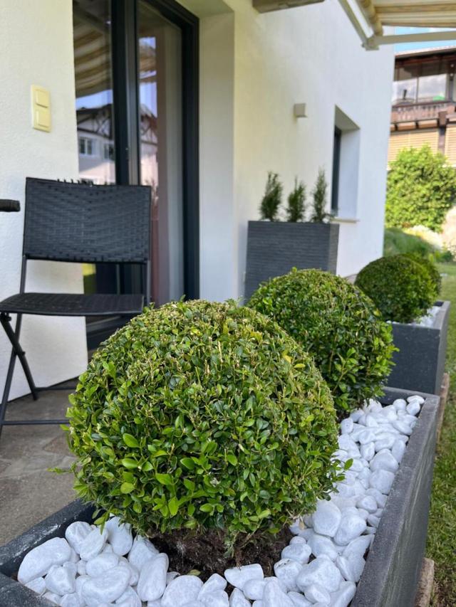 Appartement Schneekristall – billede 6