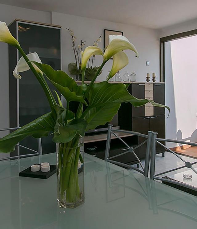 Apartment Cb 1 – billede 9