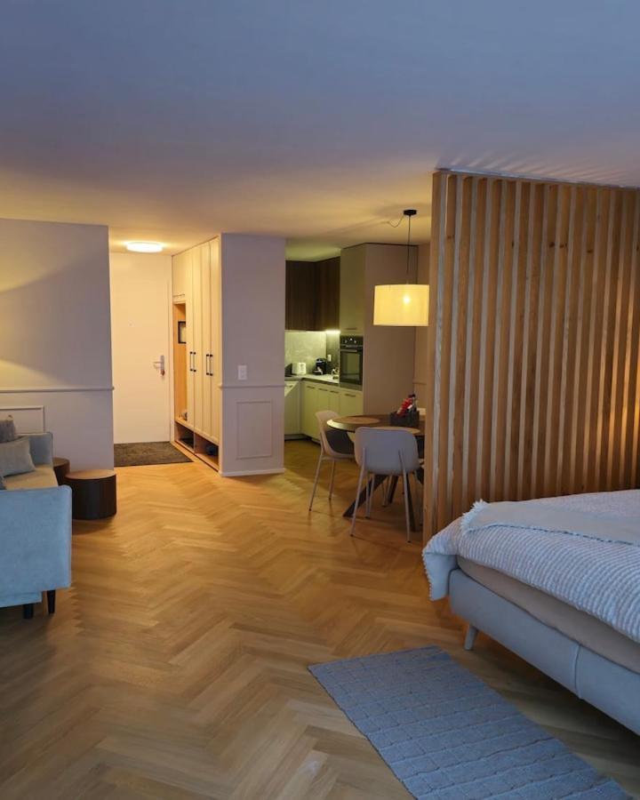 One-Bedroom Apartment (1 extra-large double bed and 1 sofa bed) - Free WiFi – Wohnung Nahe Bahnhof Und Skistation