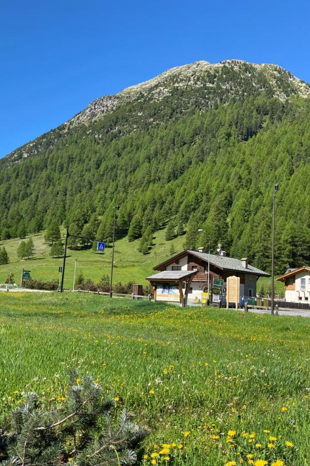 La Stalina – billede 7