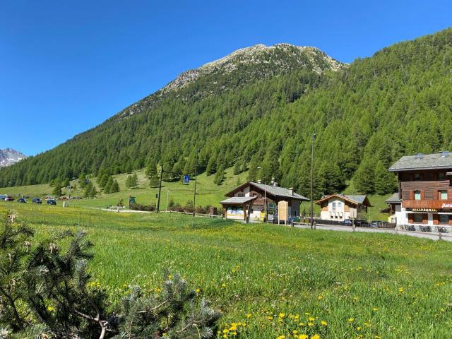 La Stalina – billede 7