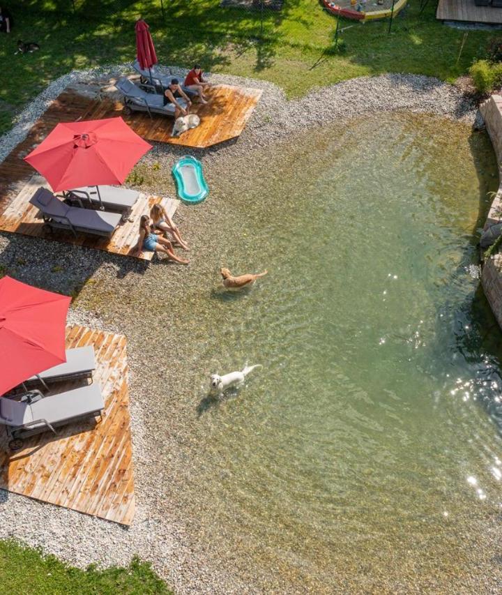 One-Bedroom Apartment (1 sofa bed, Bedroom#1: 1 single bed and 1 sofa bed and 1 large bed) - Free WiFi – Grubers Hotel Apartments Gastein