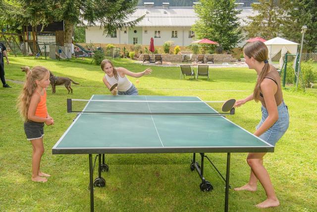Grubers Hotel Apartments Gastein – billede 10