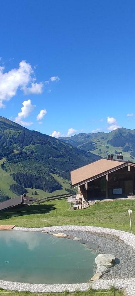 Sinnlehen Alm – billede 2