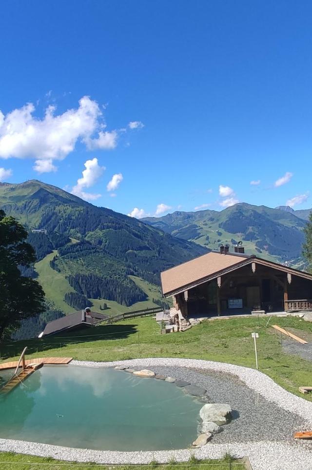 Sinnlehen Alm – billede 2