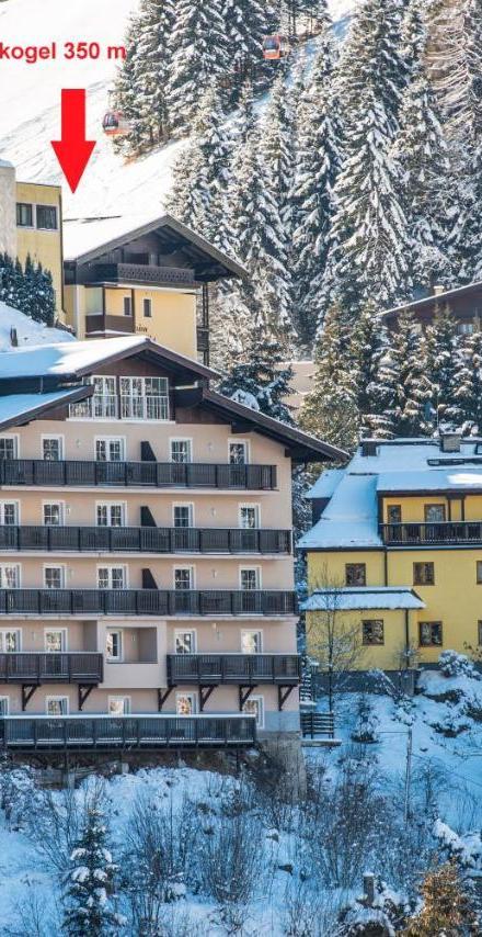 Alpenhof – billede 1
