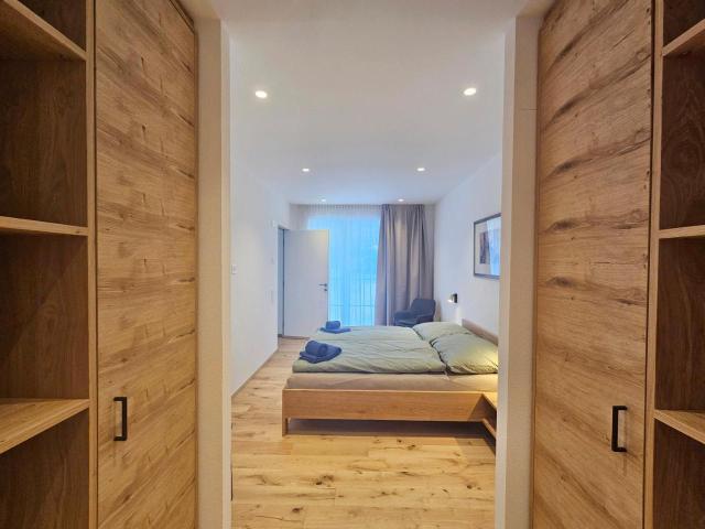 Silberdistel Eg – billede 8