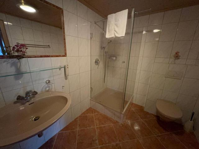 Das Dorfgefuehl Pension Westendorf – billede 3