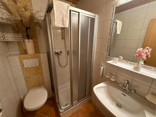 Das Dorfgefuehl Pension Westendorf – billede 7