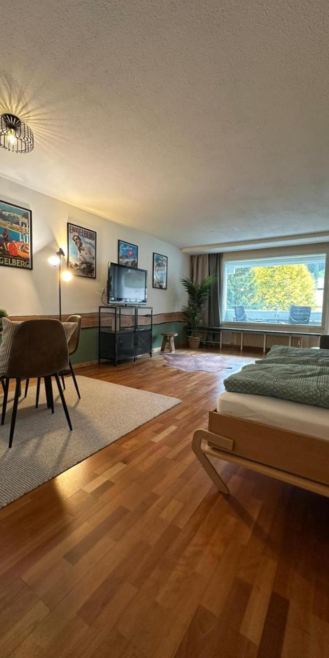 Alpine Hideaway - Cozy Mountainview Studio, Home-Cinema, Free Parking, Ski, Engelberg, Luzern – billede 10