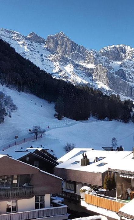Apartment Birkenstrasse 54 Engelberg – billede 2