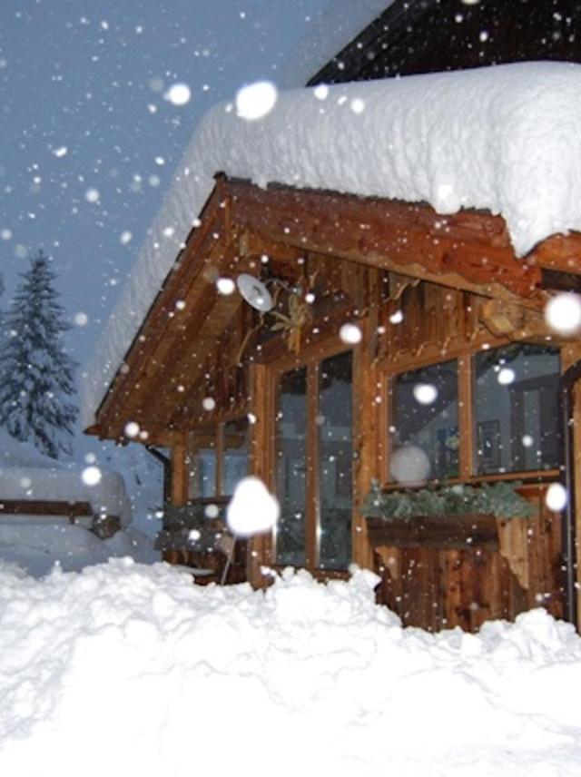 Appartamenti Chalet Orchidea – billede 8