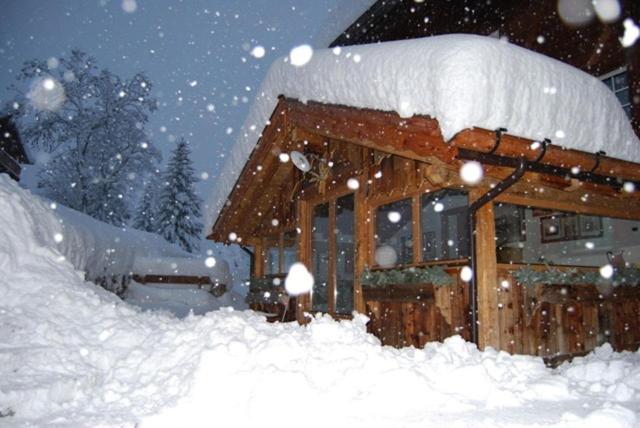 Appartamenti Chalet Orchidea – billede 8