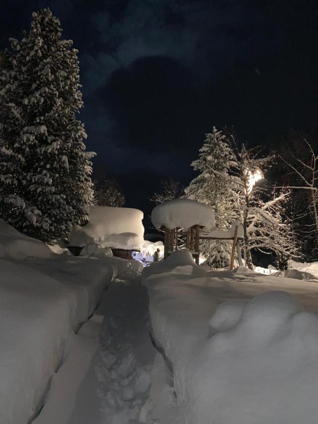 Appartamenti Chalet Orchidea – billede 9