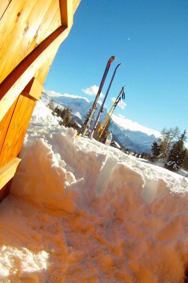 Appartamenti Chalet Orchidea – billede 10