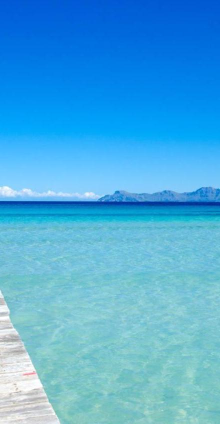Yourhouse Alcudia – billede 5