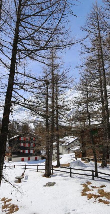 Chalet la Sapiniere – billede 1