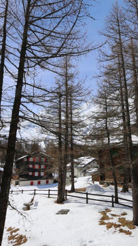 Chalet la Sapiniere – Saas Fee