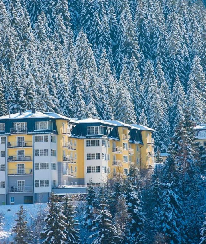 One-Bedroom Apartment (1 sofa bed) - Free WiFi – Haus Sonnenwende