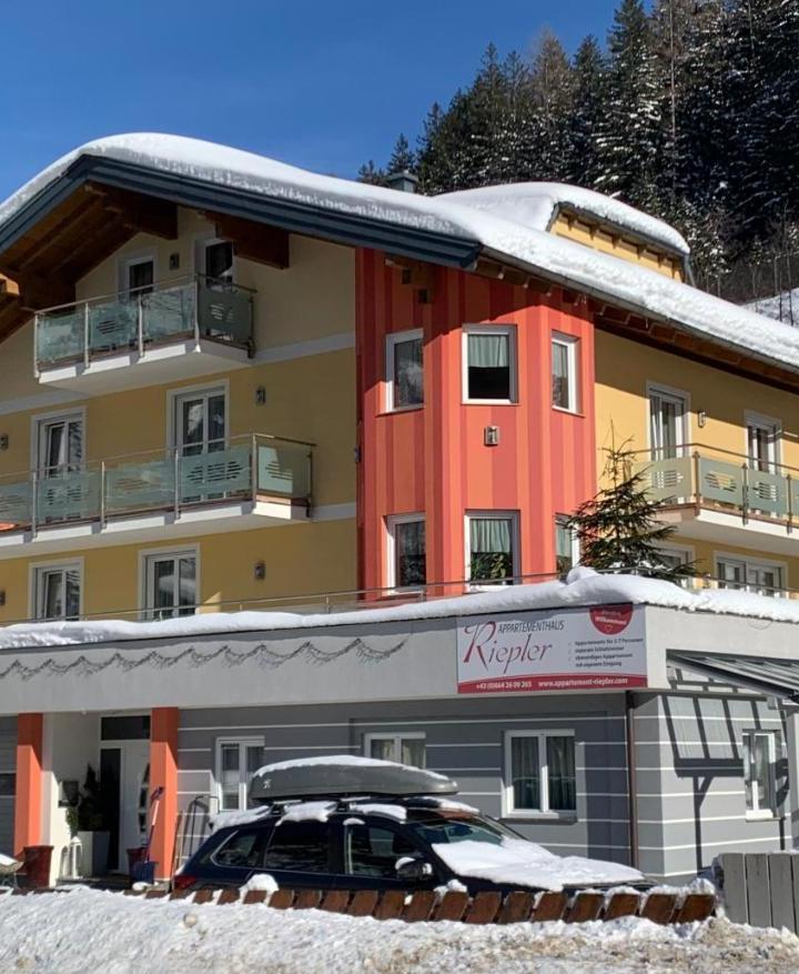 Apartment with Mountain View (1 extra-large double bed) – Appartement Riepler