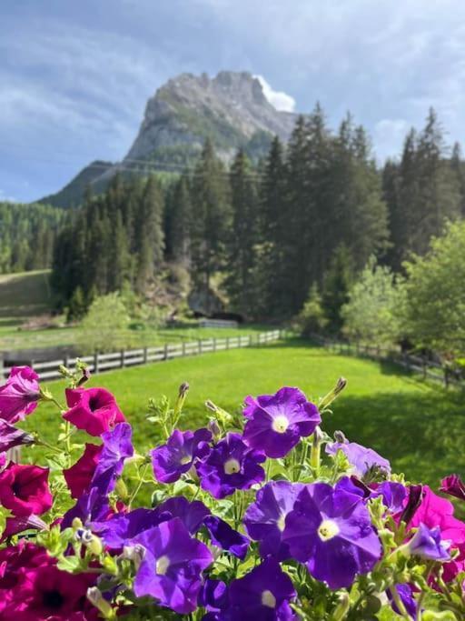 Sellaronda - Ciampac Experience – billede 10