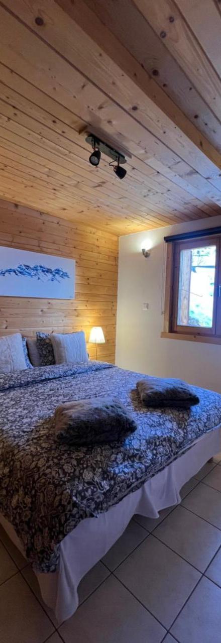 Beautiful Spacious Chalet 15 People Alpe D'huzes Et Tour de France – billede 1