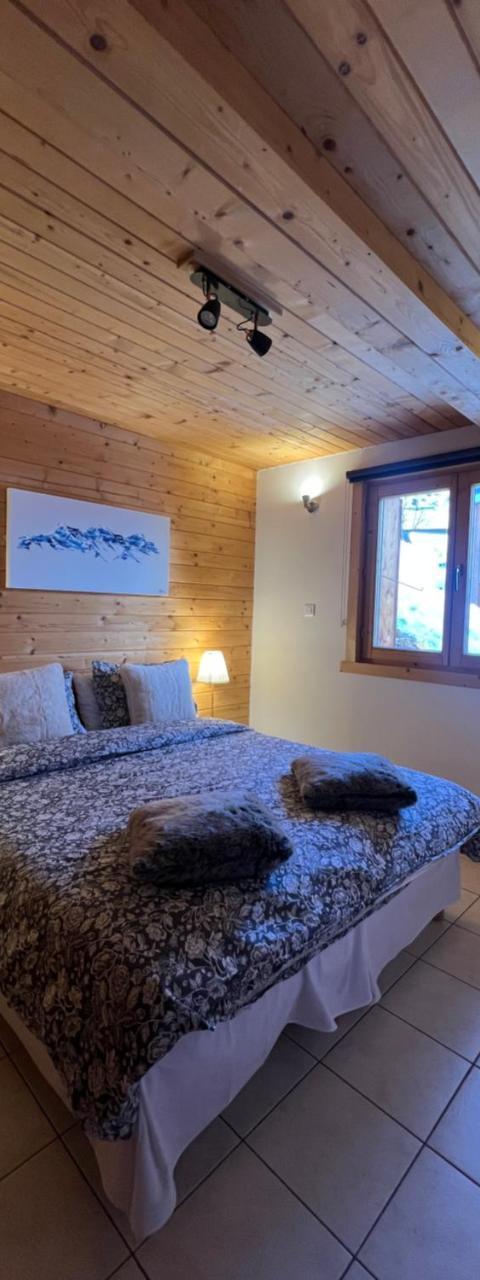 Beautiful Spacious Chalet 15 People Alpe D'huzes Et Tour de France – Alpe d'Huez