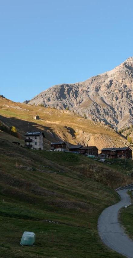 Apartment Il Nocciolino – billede 4
