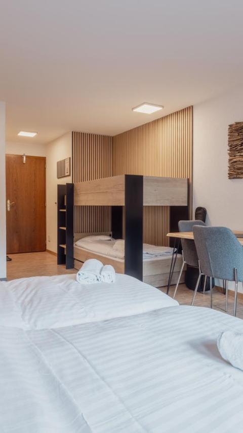 Charmant Studio Au Centre de Saas-Fee – Saas Fee