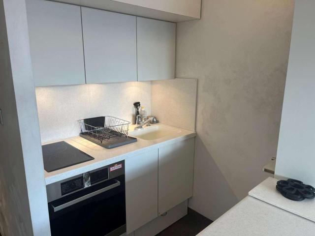 Studio Cosy Pour 4 a L'alpe D'huez, Proche Telecentre, Commerces, Terrasse Sud, Animaux Bienvenus - Fr-1-405-228 – billede 6