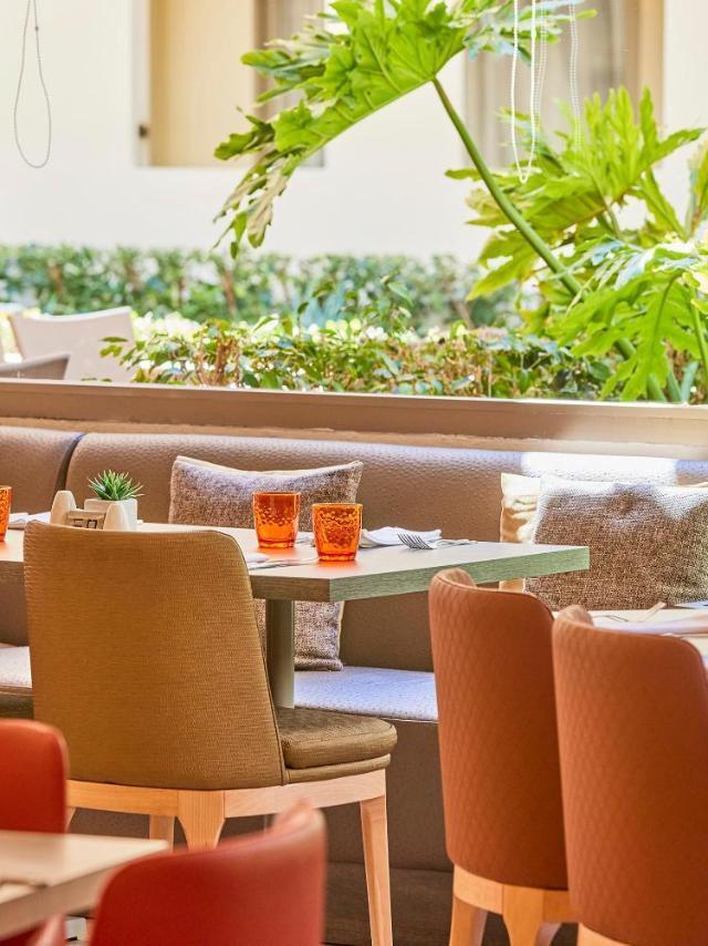 Zafiro Tropic – billede 8