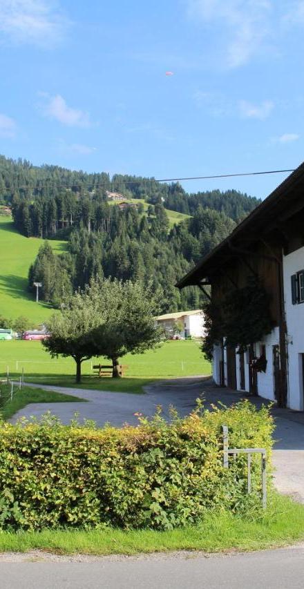 Pension Klausnerhof – billede 5