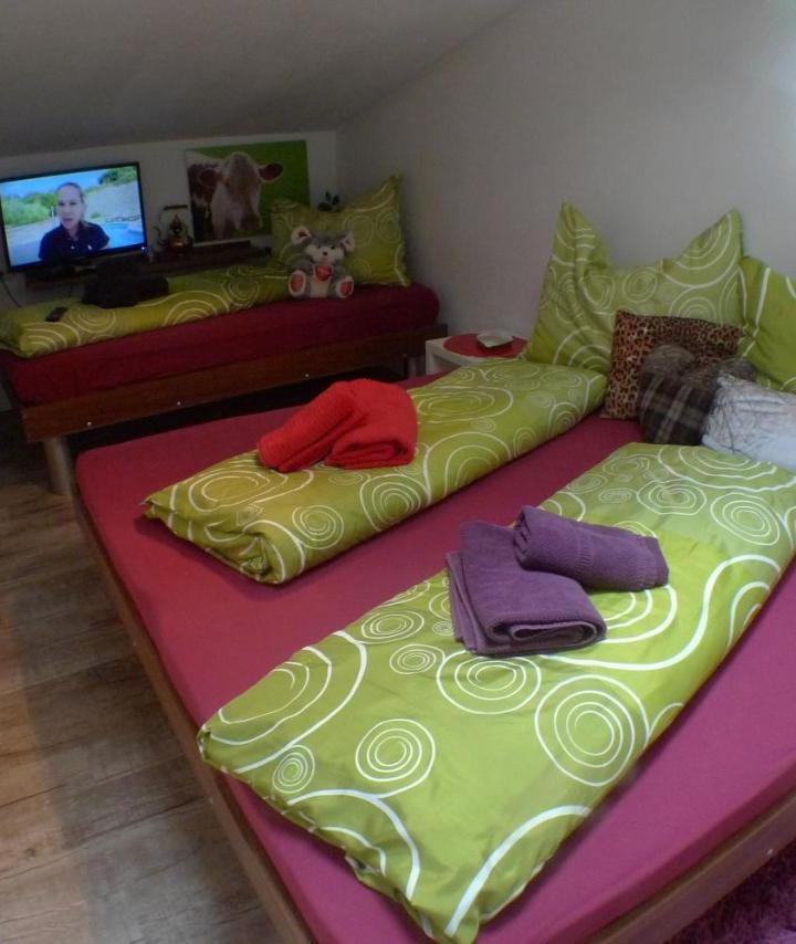 Apartment (1 single bed and 1 large bed) - Free WiFi – Apartment Edith Top 49
