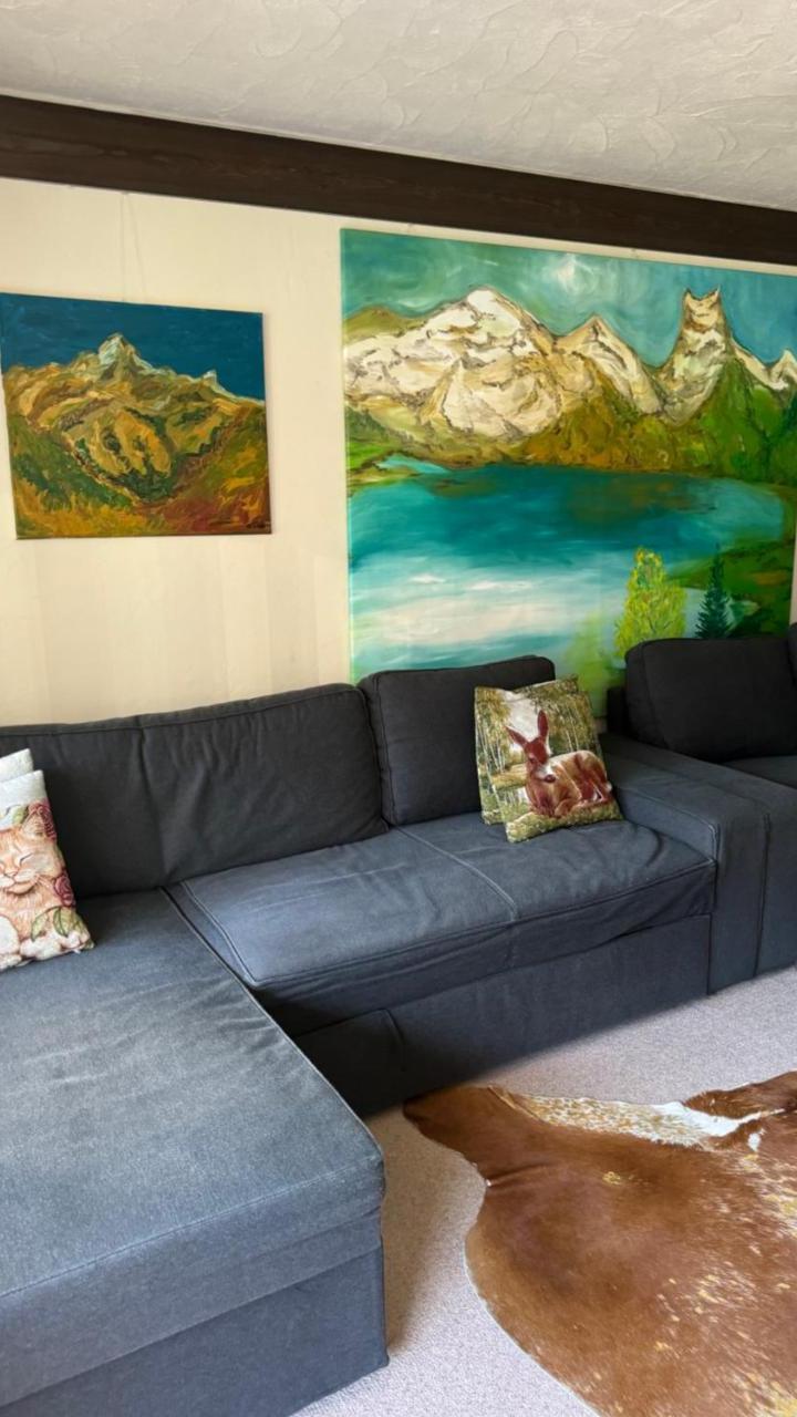 One-Bedroom Apartment (1 double bed) - Free WiFi – Sehr Schone Wohnung in Engelberg