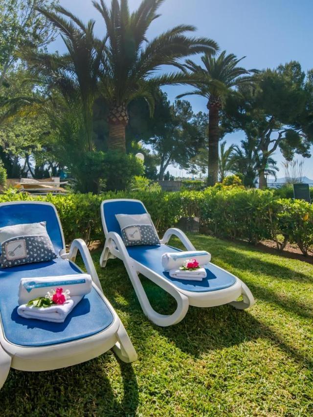Ideal Property Mallorca - Playasol – billede 3