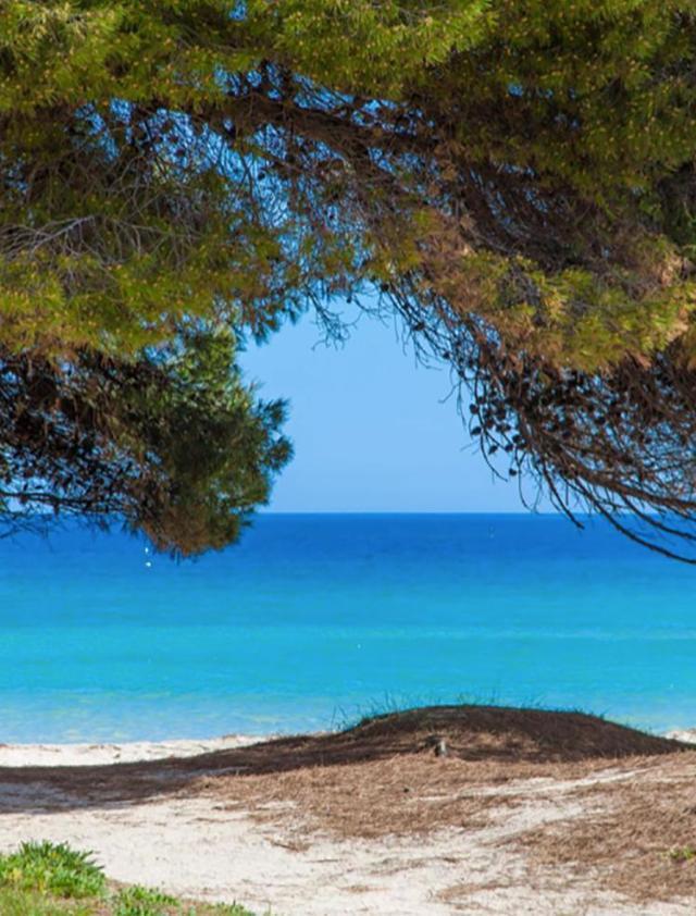 Apartment Countess Garden 2-1, Sun of the Bay Vidalba 1, at Alcudia Beach – billede 3