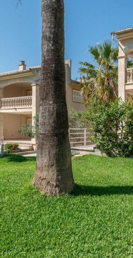 Apartment Countess Garden 2-1, Sun of the Bay Vidalba 1, at Alcudia Beach – billede 4