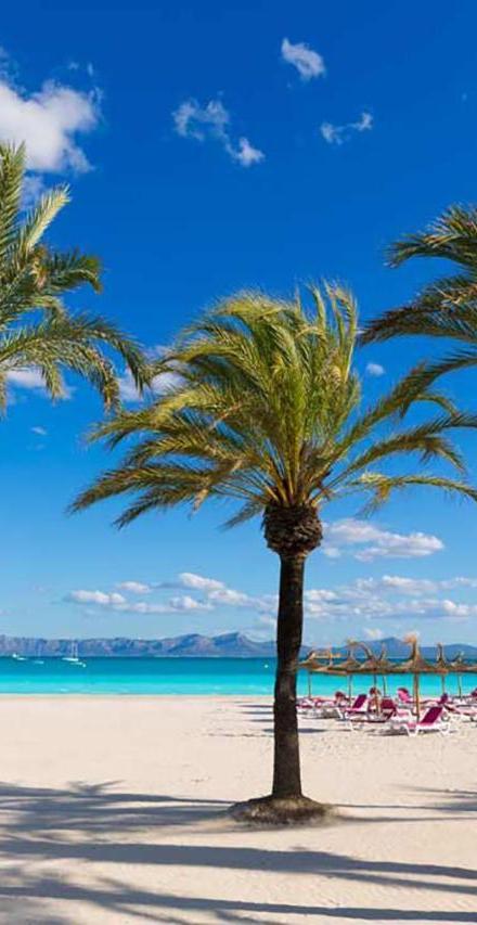 Apartment Just on the Beach in Port Alcudia – billede 2