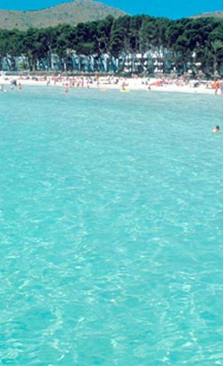 Apartment Just on the Beach in Port Alcudia – billede 5