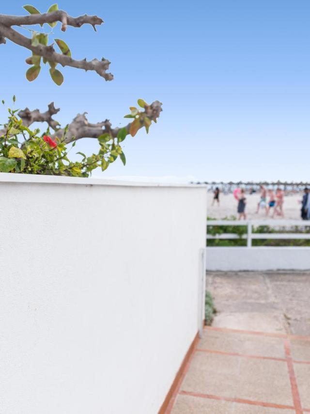 Apartment Just on the Beach in Port Alcudia – billede 8